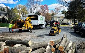 Best Fruit Tree Pruning  in Oceano, CA