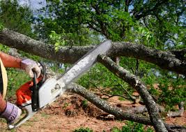 Best Utility Line Clearance  in Oceano, CA